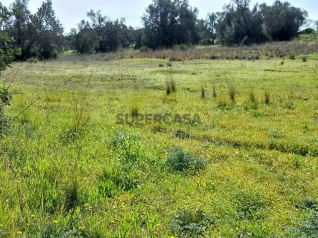 Terreno em Almancil