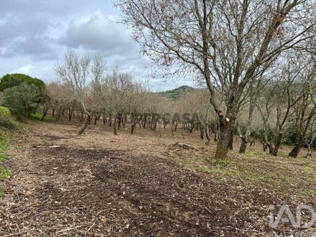 Terreno em Almargem do Bispo, Pêro Pinheiro e Montelavar