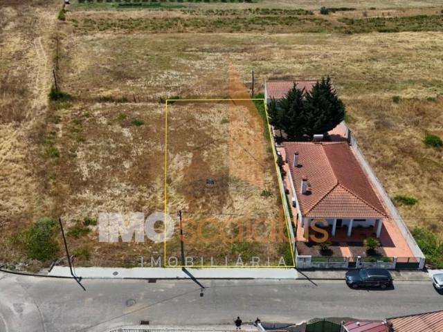TERRENO EM ALPIARÇA PARA CONSTRUÇÃO