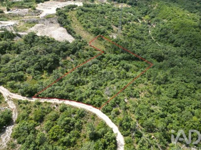 Terreno em Alqueidão da Serra