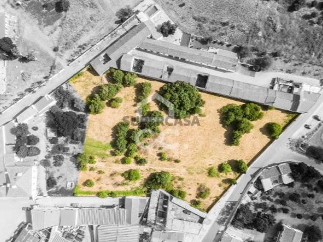 Terreno em Alvito