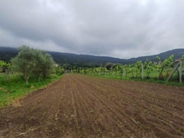 Terreno em Âncora