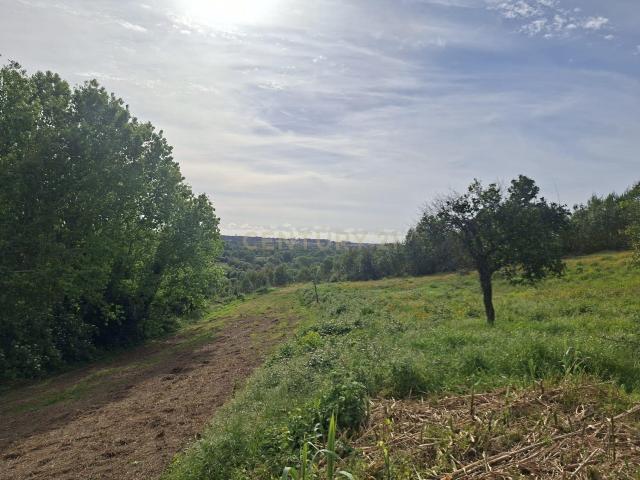 Terreno em Angeja, Albergaria a Velha