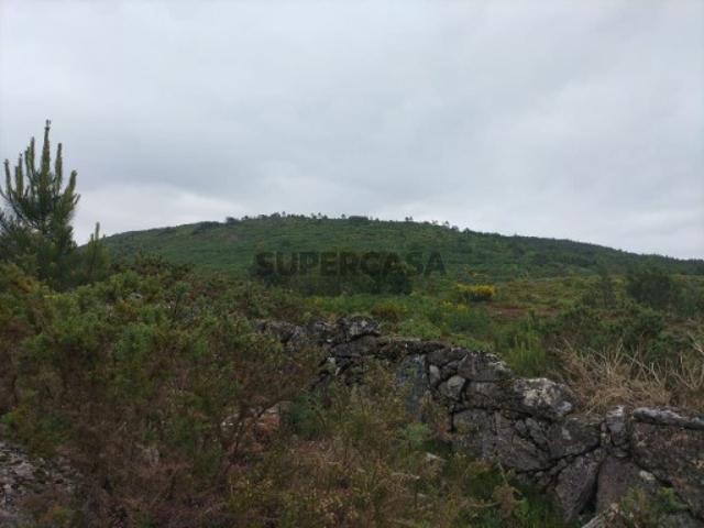 Não urbanizável em Anjos e Vilar do Chão