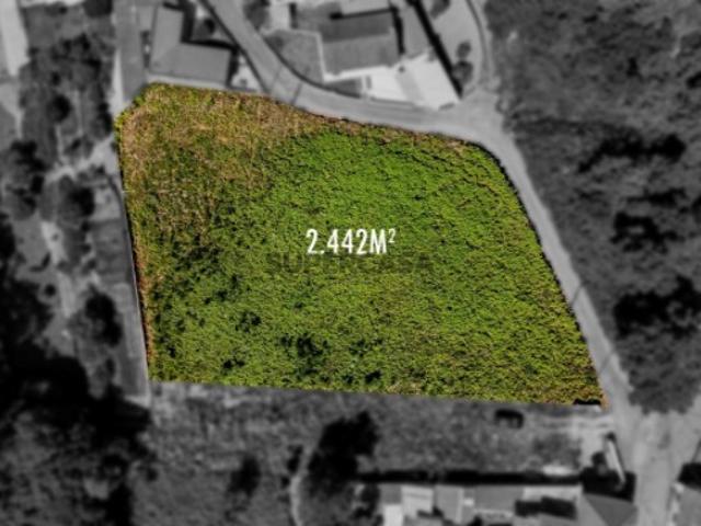 Terreno em Anta