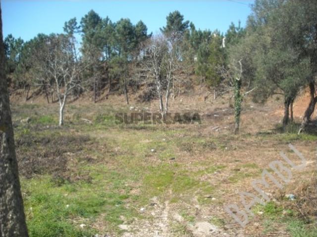Terreno em Argela