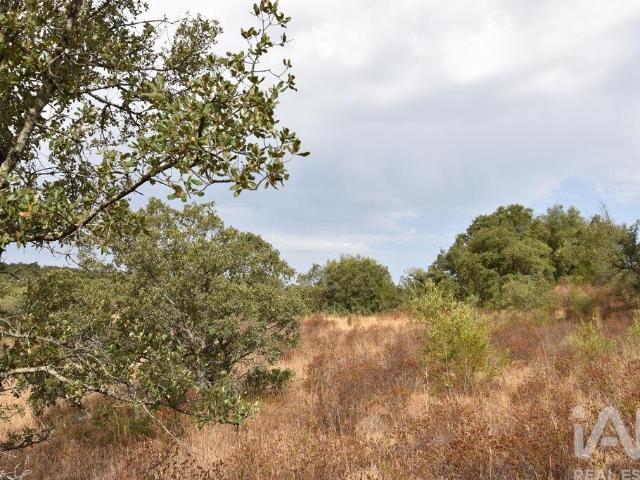 Terreno em Areias e Pias de 5640,00 m²