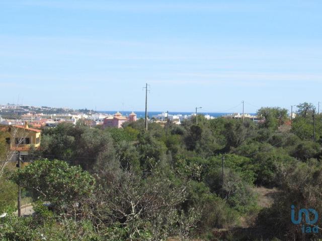 Terreno em Armação de Pêra de 51360,00 m²