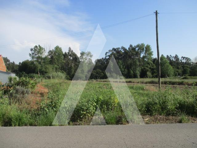 Terreno em Bustos