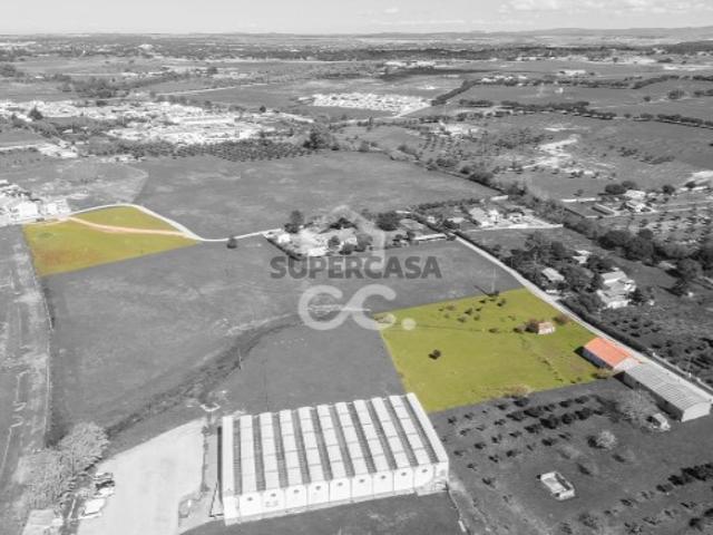 Terreno em Bacelo e Senhora da Saúde