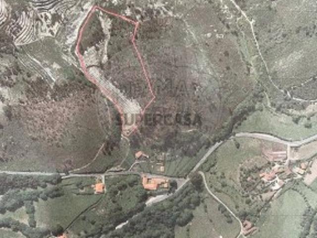 Terreno em Basto