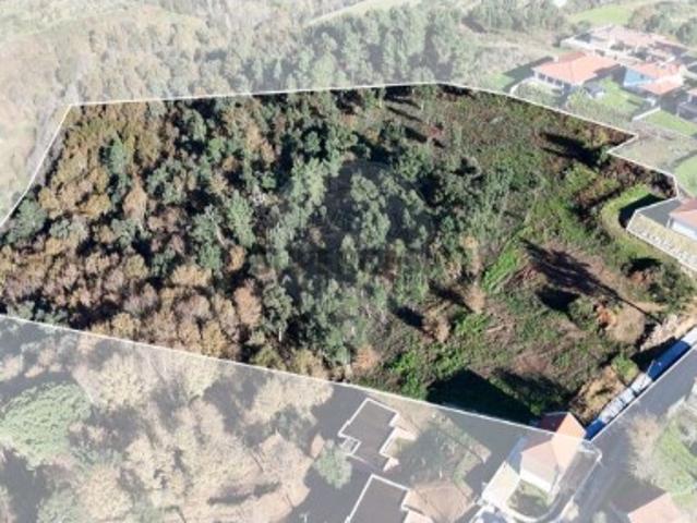 Terreno em Basto
