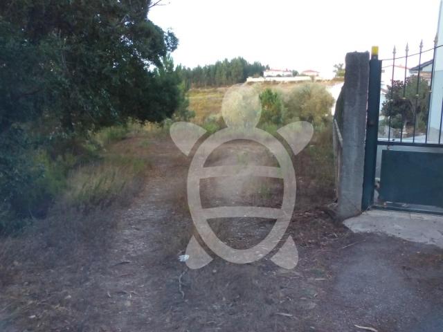 Terreno em Barosa Leiria
