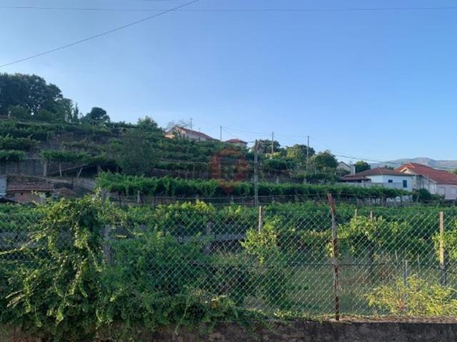 Terreno em Barbeita