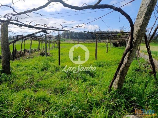 Terreno em Barcelos | 26084084302
