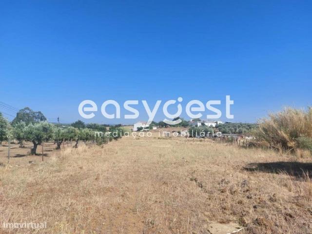 Terreno em Beja com 12.000m2 com possibilidade construo