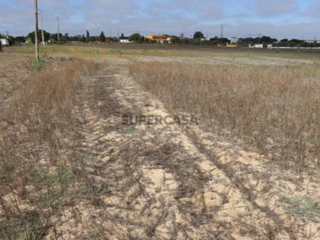 Terreno em Benavente