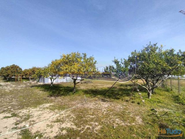 Terreno em Benavente B446 | 26083489885