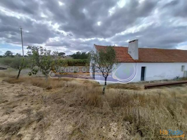 Terreno em Biscaínho, Coruche CRCH131 | 26084100267