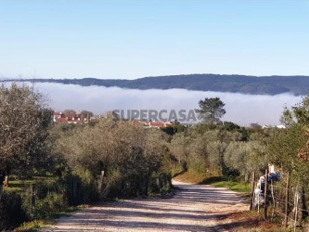 Terreno em Borba Matriz