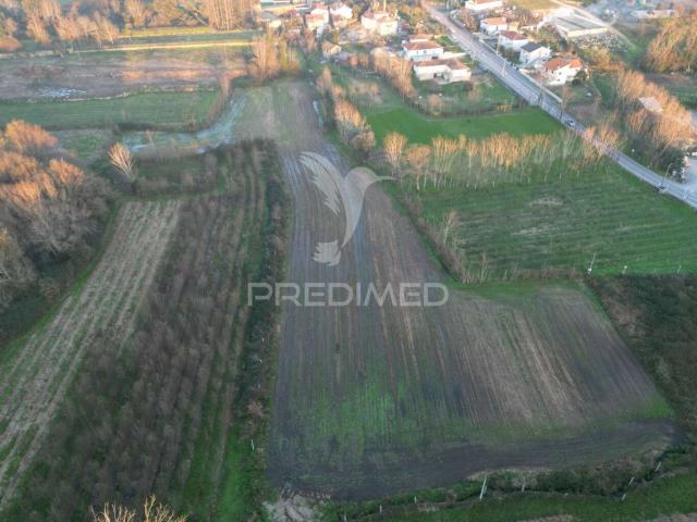 Terreno em Briteiros Santo Estêvão Guimarães