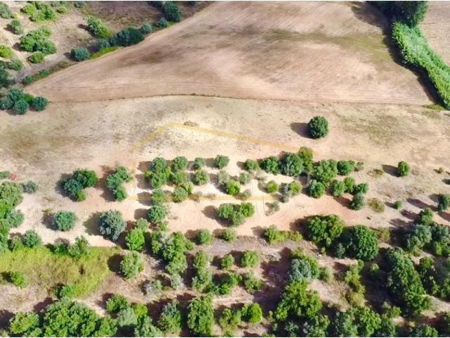 Terreno em Brogueira 20.000m2 Projeto Aprovado + Contentor T2