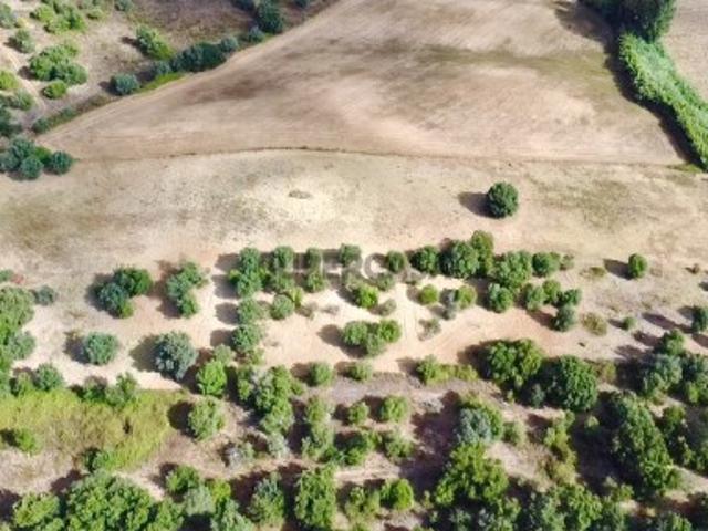 Terreno em Brogueira 20.000m2 Projeto Aprovado + Contentor T2