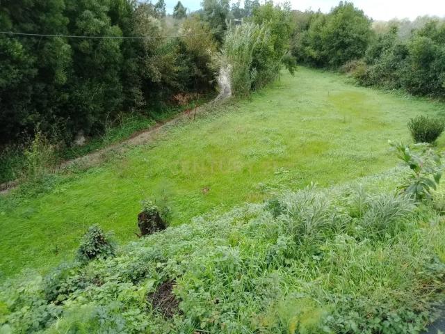 Terreno em Cacia, Aveiro 1141m²