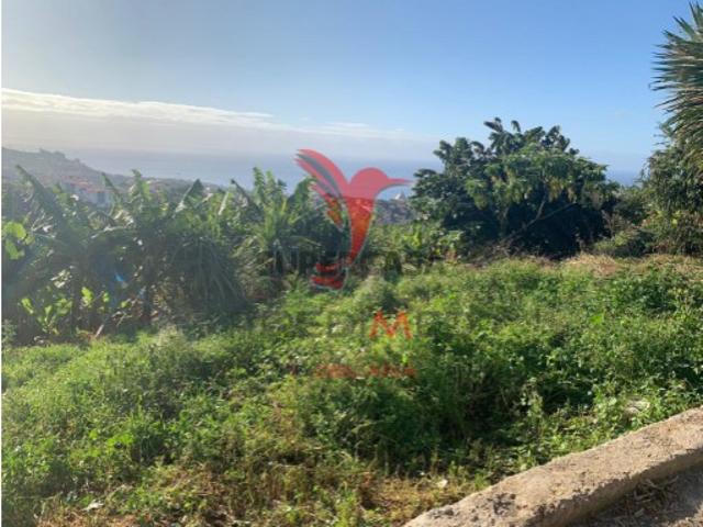 Terreno em Câmara de Lobos