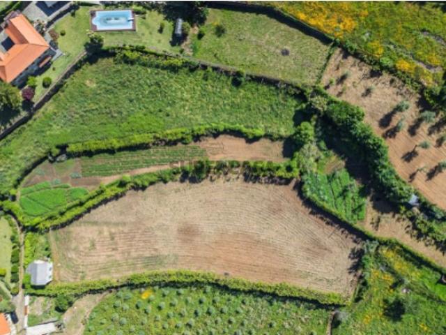 Terreno em Canelas e Espiunca