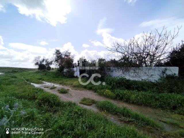 Terreno em Castro Verde e Casével