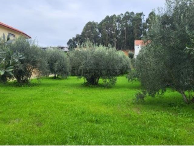 Terreno em Caranguejeira Leiria