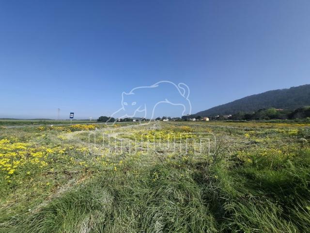 Terreno em Carreço