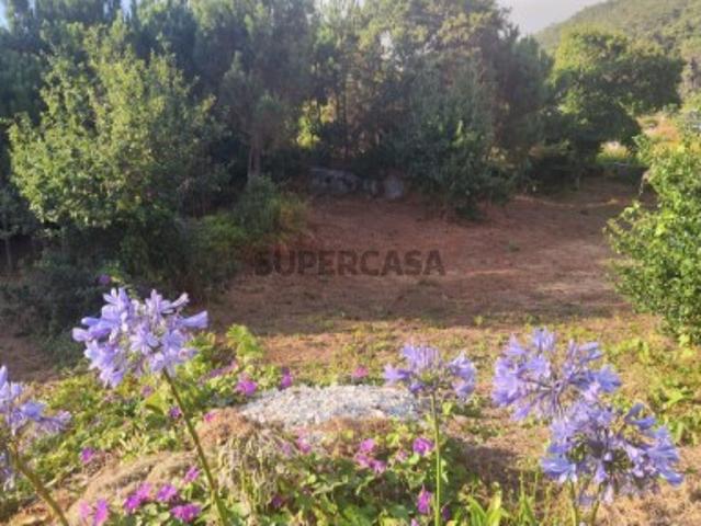 Terreno em Carreço