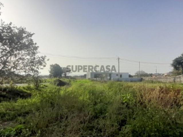 Terreno em Carreço