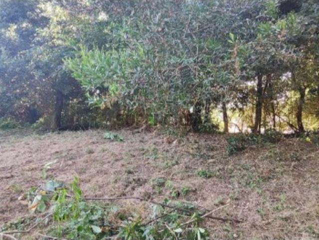 Terreno em Carreço