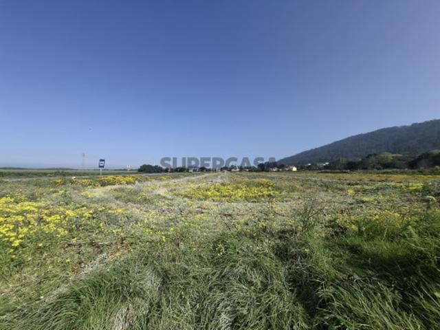 Terreno em Carreço