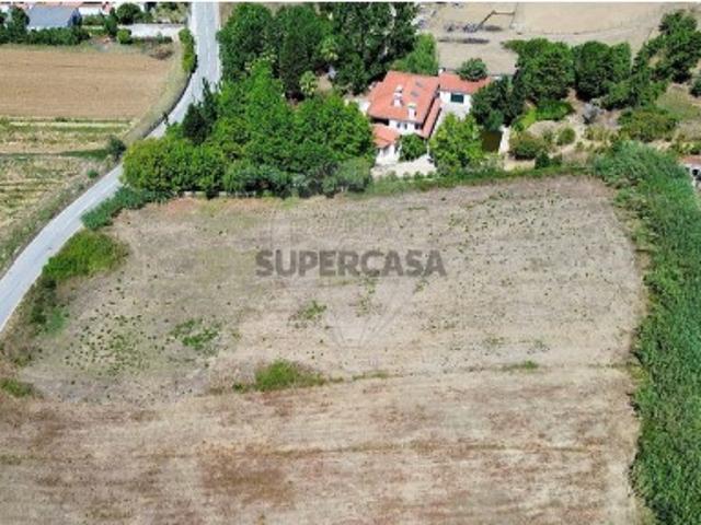 Terreno em Carvoeira e Carmões