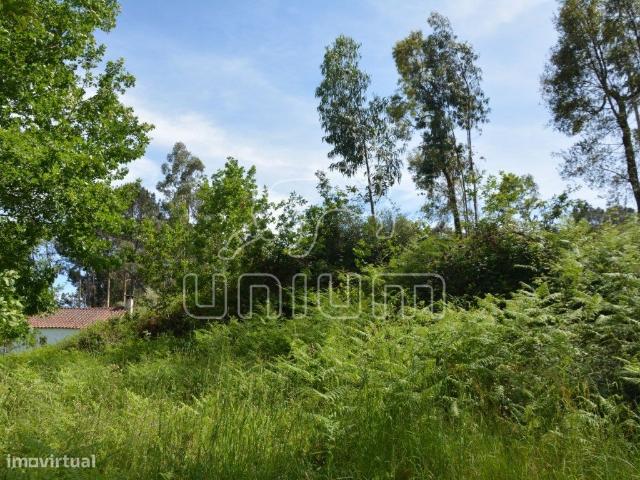 Terreno em Cazelho, Goes