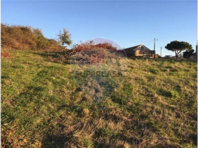 Terreno em Cela