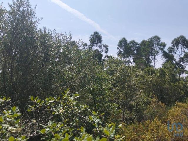 Terreno em Chãos de 1760,00 m²