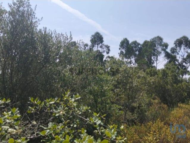 Terreno em Chãos de 1760,00 m²