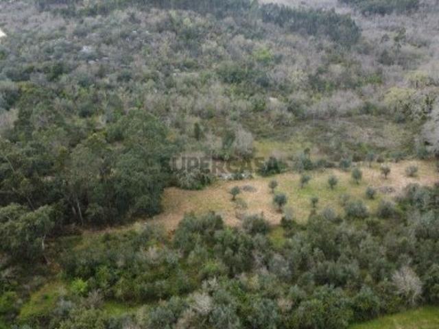 Terreno em Chãos de 2960,00 m²