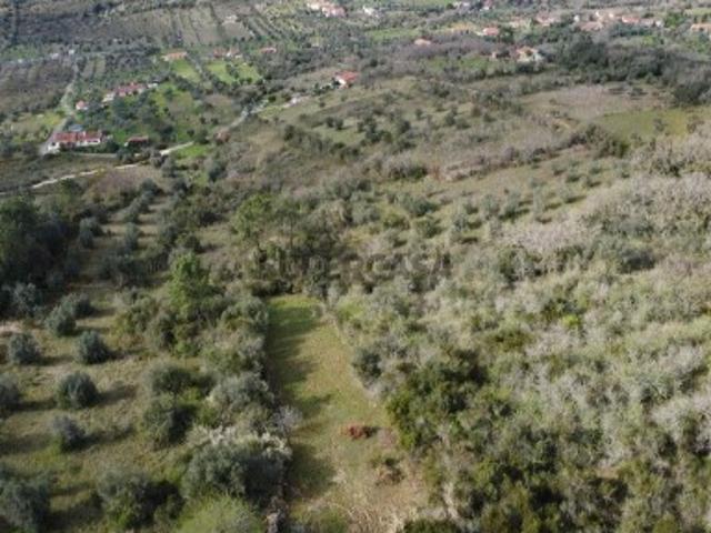 Terreno em Chãos de 2000,00 m²