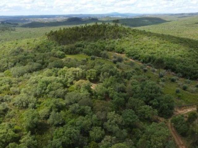 Terreno em Chãos de 4640,00 m²