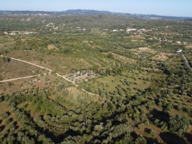 Terreno em Chãos de 4800,00 m²