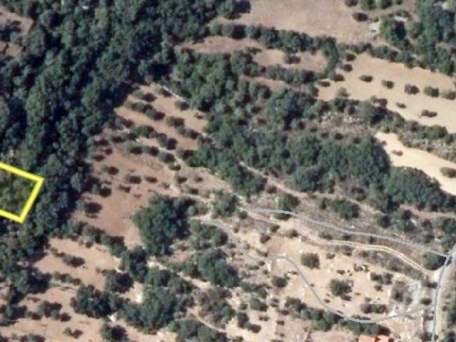 Terreno em Chãos de 800,00 m²