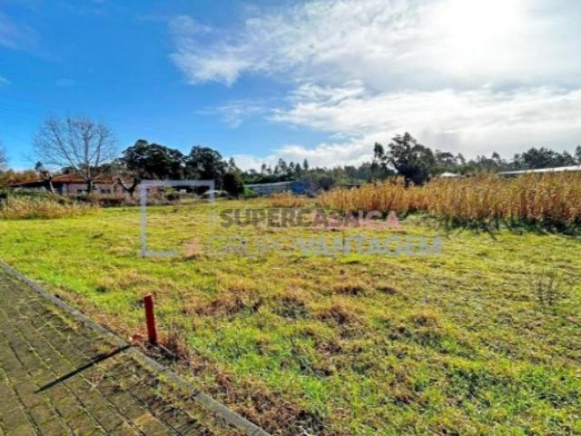 Terreno em Covão do Lobo