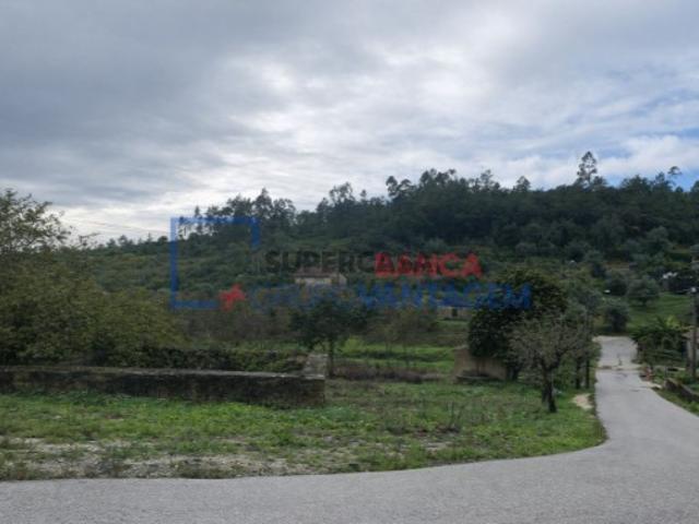 Terreno em Eiras e São Paulo de Frades