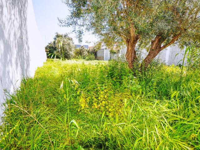 Terreno em Ermidas Sado